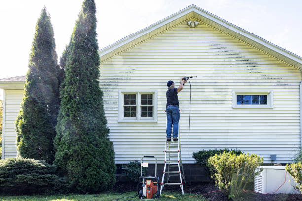 Best Soft Washing for Delicate Surfaces in Wilson Conococheague, MD